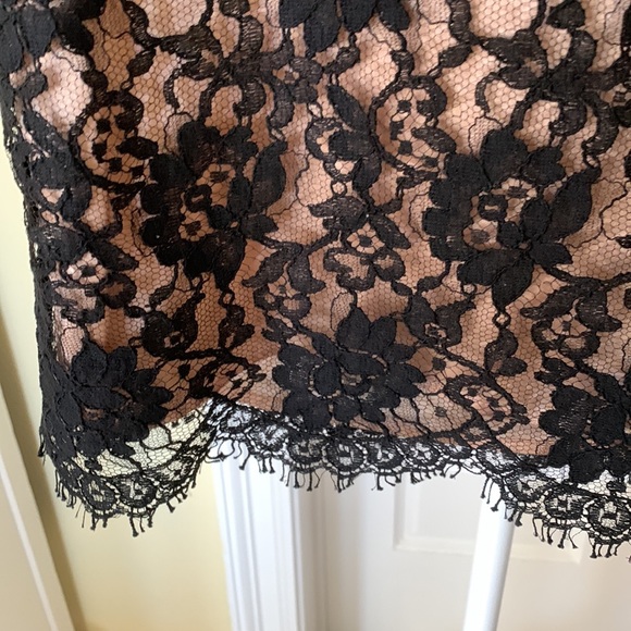 EUC.  Banana Republic lace skirt - Picture 4 of 5